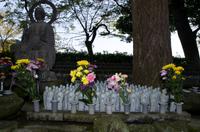 Besuch des Kamakura Hase Tempel