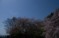 Besuch des Kamakura Hase Tempel