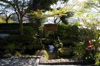 Besuch des Kamakura Hase Tempel