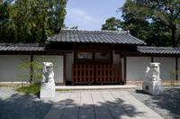 Besuch des Kamakura Hase Tempel