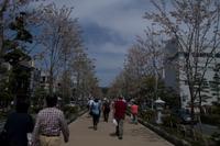 Weiterfahrt von Kamakura nach Hakone