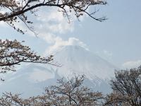 Blick auf den Fuji-san in Hakone