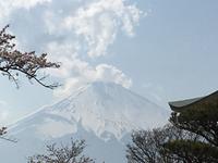 Blick auf den Fuji-san in Hakone