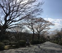 Blick auf den Fuji-san in Hakone