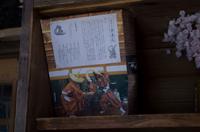 Besuch von Shirakawa-go