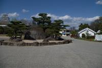 Besuch der Burg Himeji-jo