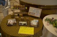 Spaziergang durch Hiroshima