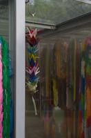 Spaziergang durch Hiroshima