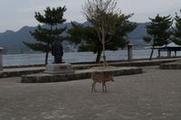 Besuch der Insel Miyajima