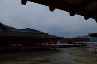 Gemeinsame Besichtigung des Itsukushima-Schreins