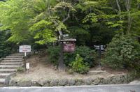 Gemeinsame Besichtigung des Itsukushima-Schreins