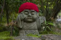 Besuch der Tempelanlage Daisho-in auf der Insel Miyajima