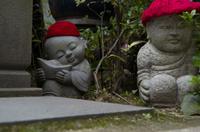 Besuch der Tempelanlage Daisho-in auf der Insel Miyajima