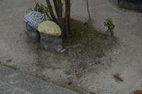 Besuch der Tempelanlage Daisho-in auf der Insel Miyajima