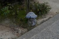 Besuch der Tempelanlage Daisho-in auf der Insel Miyajima