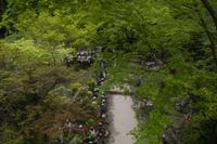 Besuch der Tempelanlage Daisho-in auf der Insel Miyajima
