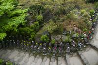 Besuch der Tempelanlage Daisho-in auf der Insel Miyajima