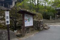 Besuch der Tempelanlage Daisho-in auf der Insel Miyajima