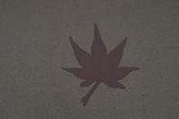 Besuch der Insel Miyajima