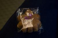 Weiterfahrt mit Shinkansen SAKURA 556 von Hiroshima nach Shin-Osaka