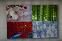 Ankunft an der Kokusaikaikan Station