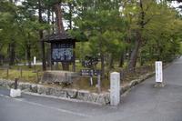 Besichtigung des Tempels Nanzen-ji