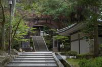 Besichtigung des Tempels Nanzen-ji