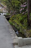 Besichtigung des Tempels Nanzen-ji