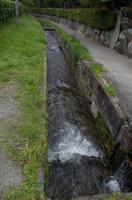 Spaziergang vom Tempels Nanzen-ji zum Philosophenweg