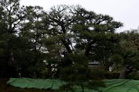 Spaziergang vom Tempels Nanzen-ji zum Philosophenweg