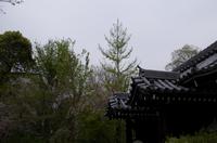 Spaziergang vom Tempels Nanzen-ji zum Philosophenweg