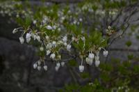 Spaziergang vom Tempels Nanzen-ji zum Philosophenweg