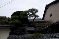 Spaziergang vom Tempels Nanzen-ji zum Philosophenweg