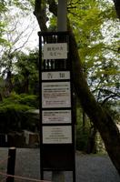 Spaziergang auf dem Philosophenweg