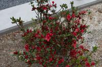 Spaziergang auf dem Philosophenweg