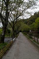 Spaziergang auf dem Philosophenweg