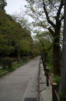 Spaziergang auf dem Philosophenweg