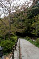 Spaziergang auf dem Philosophenweg