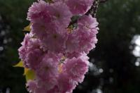 Spaziergang auf dem Philosophenweg