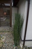 Spaziergang auf dem Philosophenweg