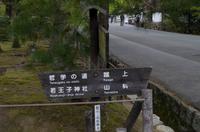 Spaziergang auf dem Philosophenweg