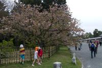 Besichtigung des Kaiserpalasts Kyoto 