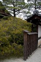 Besichtigung des Kaiserpalasts Kyoto 