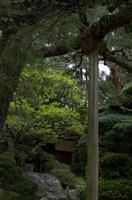 Besichtigung des Kaiserpalasts Kyoto 