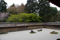 Besichtigung des Tempels Ryona-ji mit dem berühmten Zen-Garten