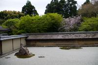Besichtigung des Tempels Ryona-ji mit dem berühmten Zen-Garten
