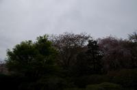 Besichtigung des Tempels Ryona-ji mit dem berühmten Zen-Garten