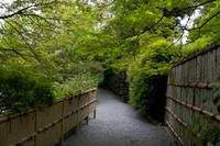 Besichtigung des Tempels Ryona-ji mit dem berühmten Zen-Garten