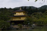 Besichtigung des als Goldenen Pavillon bekannten Tempels Kinkaku-ji