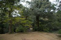 Besichtigung des als Goldenen Pavillon bekannten Tempels Kinkaku-ji